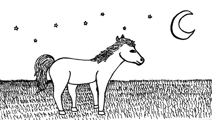 "Starlight" illustration: A pony is happy in a grassy field under a night sky with stars and a moon