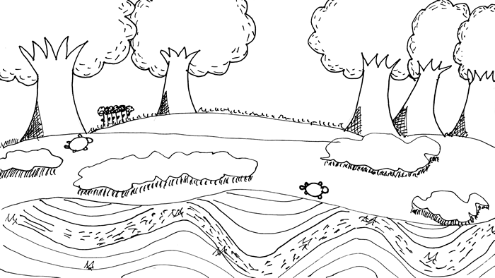 "A Creek Adventure" illustration: Turtles wander along the wooded banks of a wavy creek
