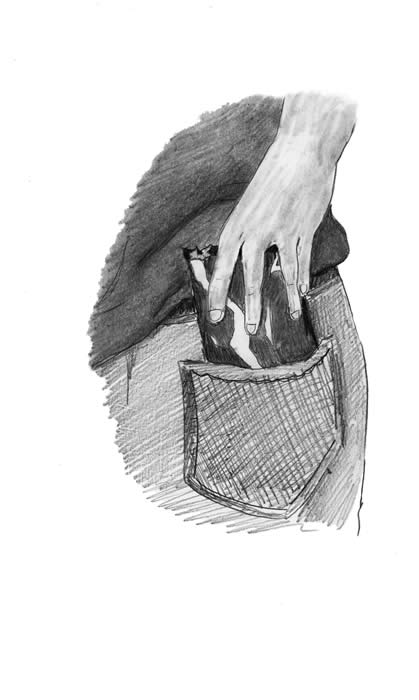 "Candy Thieves" illustration, by Janessa Hoffmann: A closeup of part of a torso shows someone slipping a bag of candy into his back pocket.