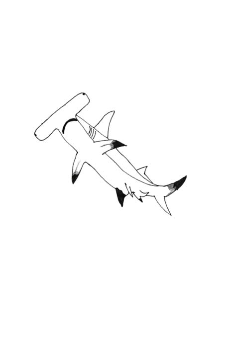 "Shark Week" - Illustrated by Teagan LeVar: A hammerhead shark swims gracefully up from the ocean depths